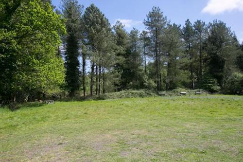 a field with benches in the middle of a forest at Sky Cabin. Cosy Forest Log Cabin 3 night minimum in Wareham