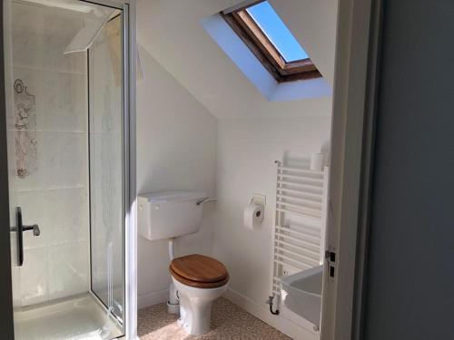 uma casa de banho com um WC e uma cabina de duche em vidro. em Carraig Bawn em Burtonport