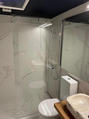 a bathroom with a toilet and a glass shower at Nice Apartment private host Engelberg in Engelberg