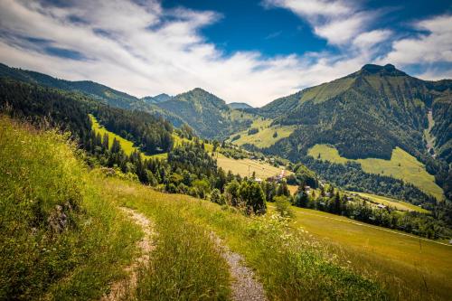 a dirt road on a hill with mountains in the background at Appartement Reitlhof, Bio Berg Bauernhof in Krispl
