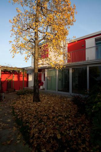 a tree in a pile of leaves next to a building at BBnaon in Pordenone