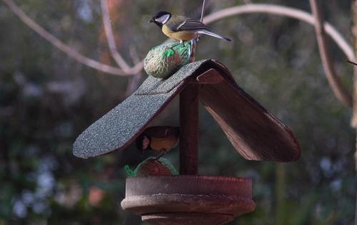 a bird perched on top of a bird feeder at BBnaon in Pordenone