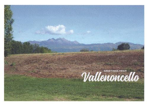 a picture of a field with mountains in the background at BBnaon in Pordenone