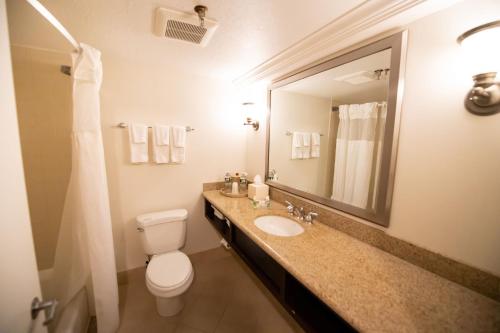 a bathroom with a toilet, sink and mirror at Holiday Inn Bar Harbor Regency Hotel, an IHG Hotel in Bar Harbor