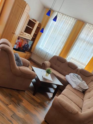 Sala de estar con 2 sofás y mesa de centro en Monteurs u. Ferienwohnung en Glauchau