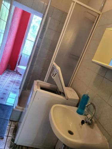 baño con aseo y lavabo y ventana en Monteurs u. Ferienwohnung en Glauchau
