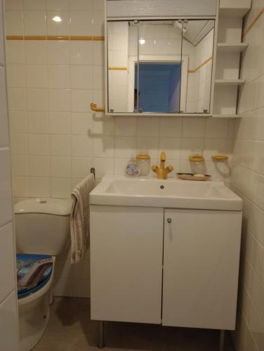 a bathroom with a sink and a toilet and a mirror at Damm 10 Appartement in Peine