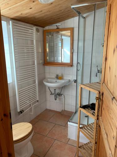 ein Bad mit einem WC, einem Waschbecken und einer Dusche in der Unterkunft Blockhausvermietung "Vor dem Gröperntor" in Quedlinburg