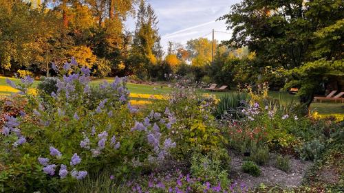 a garden with purple flowers in a park at La Plonploniere in Aix-en-Issart