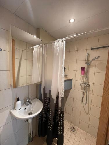 Kylpyhuone majoituspaikassa Rental apartment Toom-Kuninga