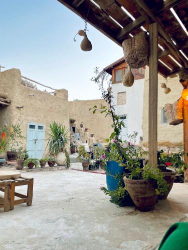 a patio with potted plants in front of a building at Baben Home in Siwa