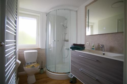 ein Bad mit einer Dusche, einem WC und einem Waschbecken in der Unterkunft Ferienwohnung Ravensberg Dachgeschoss in Bad Sachsa