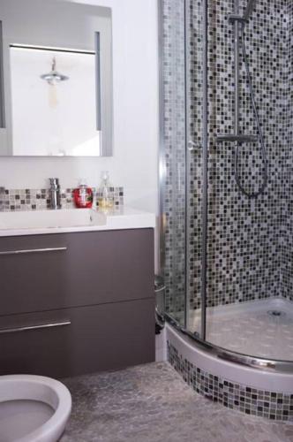 une salle de bain avec une douche, des toilettes et un lavabo dans l'établissement Appartement Cannes rue Marceau, à Cannes