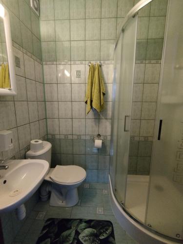 a bathroom with a shower and a toilet and a sink at Jaskółka in Lądek-Zdrój