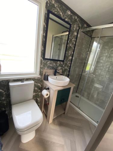 a bathroom with a toilet and a sink and a shower at Riverwood Lodge in Porth