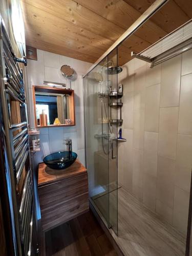 une salle de bain avec un lavabo et une douche en verre dans l'établissement Appartement la Clusaz avec terrasse sur les pistes de ski, à Manigod