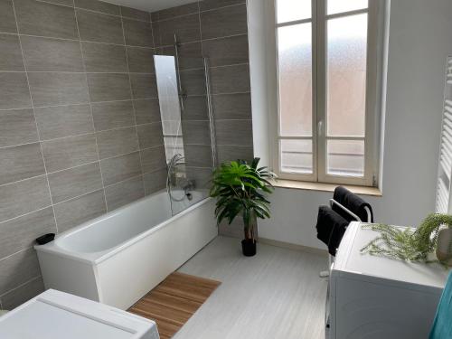 La salle de bains est pourvue d'une baignoire et d'une plante. dans l'établissement Joli appartement avec parking gratuit sur place, à Givet