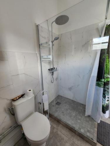 a bathroom with a toilet and a shower at CASSIOPEE in Saint-Gilles les Bains