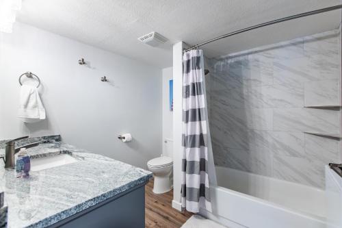 Un baño con ducha, lavabo e inodoro. en Modern, Rustic 2 Bed 1 bath 6 blocks from Mayo, en Rochester