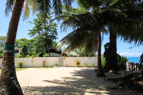 a yard with palm trees and a white fence at MADIROKELY HOUSE Nosy Be in Ambatoloaka