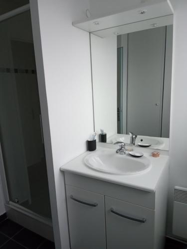 uma casa de banho com um lavatório branco e um espelho. em Roubaix près Lille, un cocon en plein centre em Roubaix