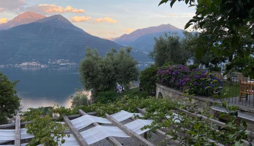 a garden with a view of a lake and mountains at Agriturismo Treterre in Pianello Del Lario