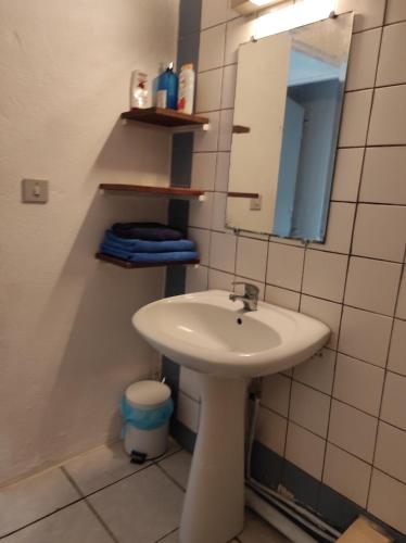 La salle de bains est pourvue d'un lavabo blanc et d'un miroir. dans l'établissement Tikoté Chwit point 0, à Cayenne