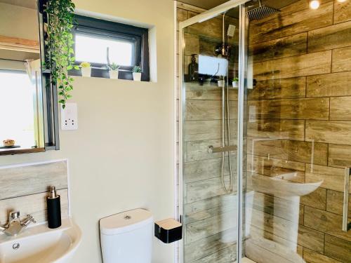 a bathroom with a shower and a sink at Coral Cabins in Dunvegan