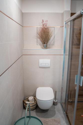 a bathroom with a toilet and a glass shower at Apartmán Sjezdovka in Kašperské Hory