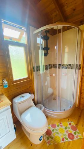a bathroom with a toilet and a shower at Villa Angela Glamping & Tiny Houses in Paipa