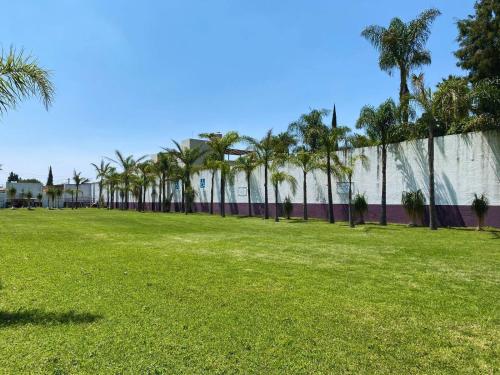 a green field with palm trees and a wall at Hotel Posada Maria Sofia in Cholula