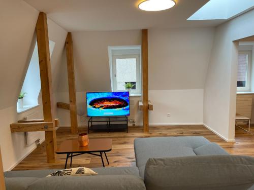 a living room with a couch and a flat screen tv at SCHNYDER'S HOME - Rosenappartement in Rapperswil-Jona