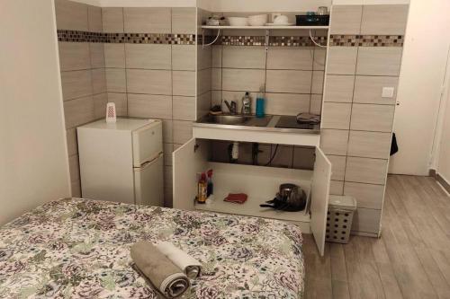 Il comprend une petite cuisine avec un lit et un réfrigérateur. dans l'établissement 30 Dajot Studio Apartment - 01, à Melun