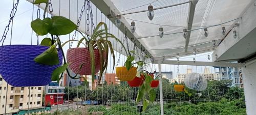 a group of potted plants hanging from a building at Casa - By Great Impressions in Pune