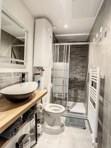 une salle de bain avec toilettes, lavabo et douche dans l'établissement STUDIO GARE AMIENS TOUT ÉQUIPÉ NETFLIX WIFI 2PERS, à Amiens