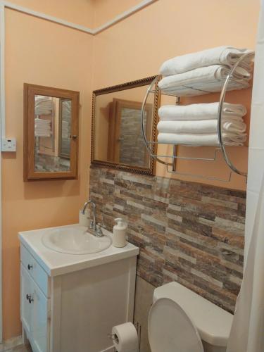 La salle de bains est pourvue d'un lavabo, de toilettes et d'un miroir. dans l'établissement Vee's Apartments SLU, à Castries