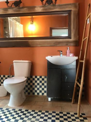 a bathroom with a toilet and a sink and a mirror at Casa das Flores - no Parque Natural Guadiana in Mértola