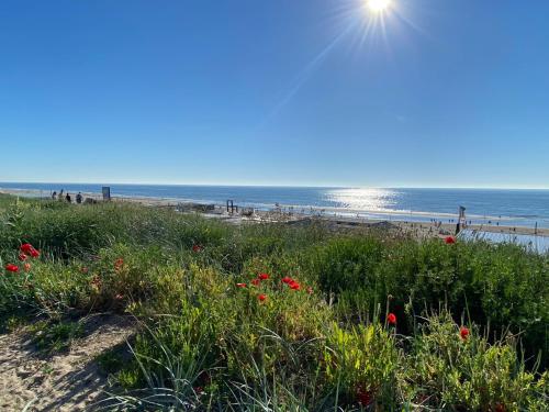 a beach with flowers and the ocean in the background at Church Square Studio in Zandvoort