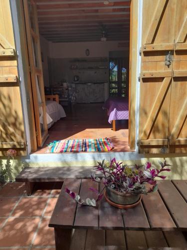 a room with a table with a potted plant on it at Complejo Sol de Valizas in Barra de Valizas
