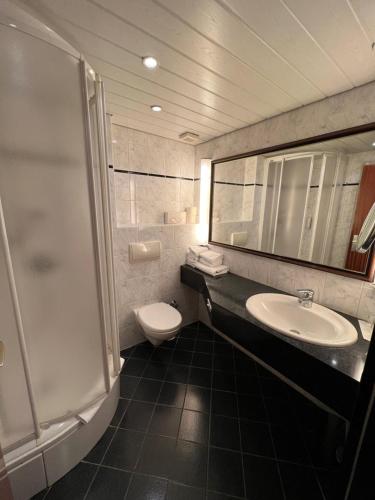 ミンデンにあるHotel Exquisitのバスルーム(トイレ、洗面台、シャワー付)