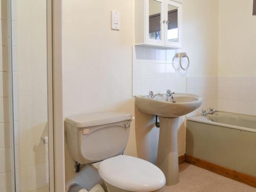 ein Badezimmer mit einem WC, einem Waschbecken und einer Badewanne in der Unterkunft The Cottage Gallt Y Balch in Bodorgan