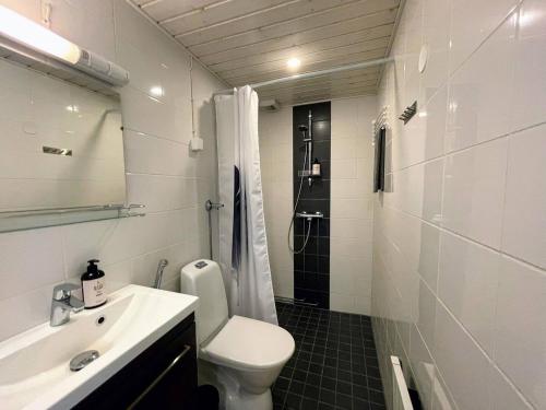 a bathroom with a toilet and a sink and a shower at Pine Sky Apartments in Ivalo