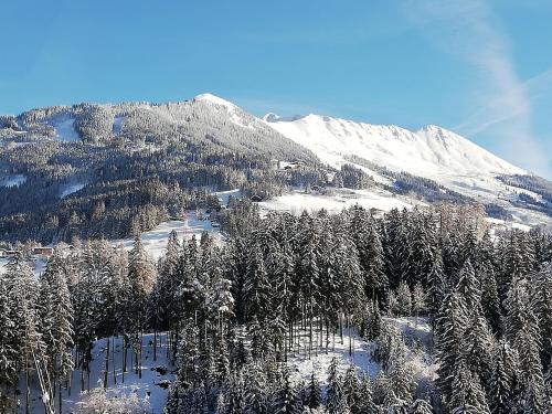 a snow covered mountain with a bunch of trees at Appartements Anfang in Weerberg