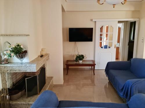 Μια τηλεόραση ή/και κέντρο ψυχαγωγίας στο GREEN PARADISE PALAIA FoKAIA