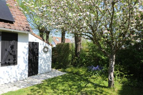 a tree in a yard next to a house at Bergh & Duin - lakens, elektriciteit en water inbegrepen in De Panne