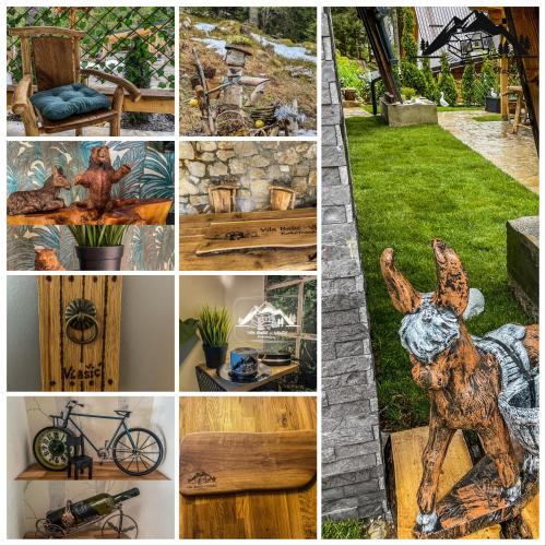 a collage of photos with different types of furniture and plants at Vila Bašić Vlašić Spa Apartman JELEN in Vlasic