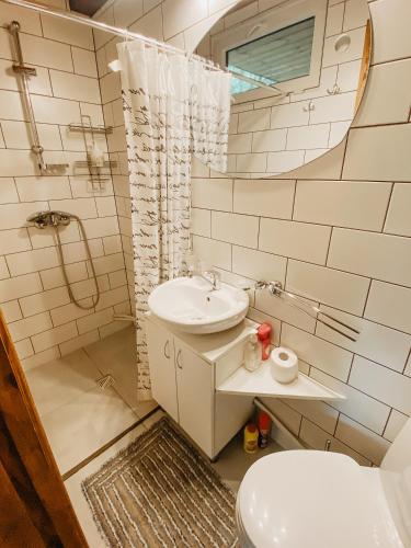 a bathroom with a sink and a toilet and a mirror at Beržų namelis - Birch cabin in Kučiūnai