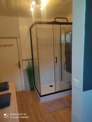 um chuveiro com uma caixa de vidro num quarto em Le Cocon des Hortillonnages d'Amiens em Camon