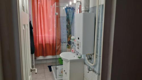 un piccolo bagno con lavandino e doccia di Veronika Apartment a Székesfehérvár