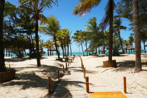 a path to the beach with palm trees and the ocean at Cumbuco - VGSun Apartment 402 in Cumbuco